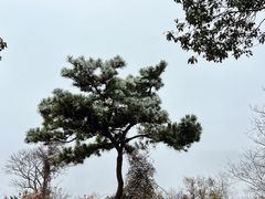 -虞山风景区