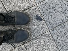 -景福宫