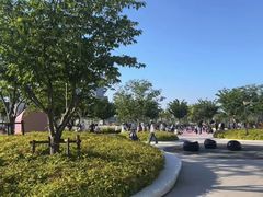 -茶人村·前滩江景雅宴(上海首店)