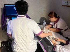 -宠爱国际动物医院·消化内科·心肾内科·ISFM猫友好(望京店)