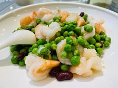 -陈麻婆豆腐(旗舰店)