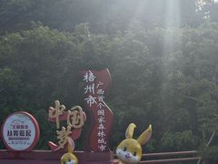 -白云山风景名胜区