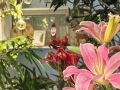 -懒人盐府人家(航天桥店)