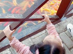 -武汉紫薇都市田园