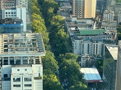 -云中小雅
