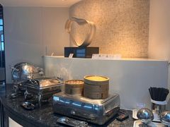 -虹桥机场国航贵宾室v8