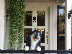 -TrueLove @ Neverland (Husky Cafe)