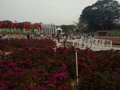 -松山湖梦幻百花洲