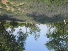 iphone_upload_pic-永定河休闲森林公园