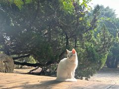 -旅顺博物馆