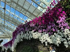 -石家庄市植物园