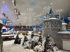 -长沙湘江冰雪世界