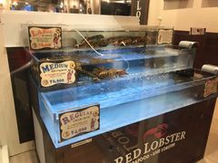 大龙虾-RED LOBSTER(环球影城大阪店)