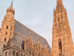 -斯蒂芬主教座堂(Stephansdom)