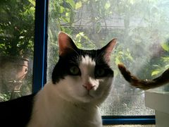 android_upload_pic-Anne猫窝咖啡屋