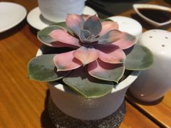 -丽晶酒店-金宝99 Restaurant