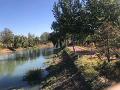 -东郊湿地公园