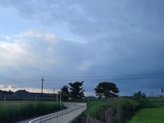 -光明小镇欢乐田园