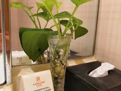 -南京THE TAI太和紫金大酒店