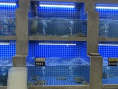 -浙C老邻舍(西城海错店)