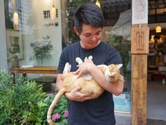 -知亘茶食