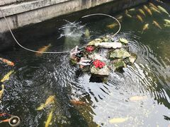 -青一色鲜椒火锅