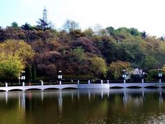 -大连植物园