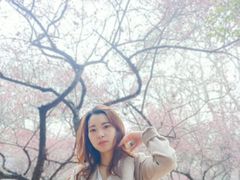 -武汉大学-樱园
