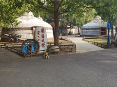 -蒙古大营(朝阳公园店)