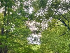 -动邦皮划艇·桨板·独木舟·团建户外运动俱乐部