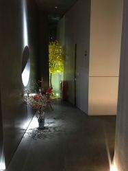 -美壹生诊所皮肤管理中心·海菲秀&Legacy美白舱