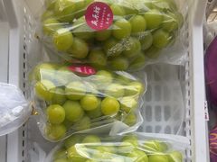 -马陆小张葡萄园农家乐