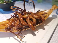 -五稻厨房粤西菜(新闻店)
