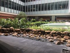 -香港大学