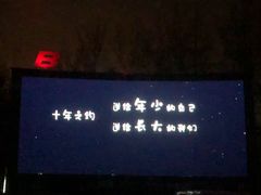 -枫花园汽车电影院(朝阳公园店)