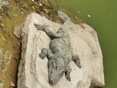 -南昌动物园
