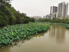 -金山公园