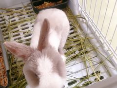 -小意思咖啡店(草桥店)