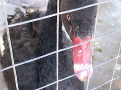 -田园寨农园观光园