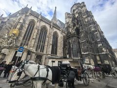 -斯蒂芬主教座堂(Stephansdom)