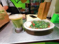 -油梨树AVOCADO TREE(顺义新国展店)