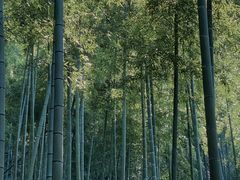 -山沟沟景区