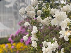 -苏州上方山国家森林公园