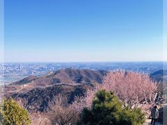 -香山公园