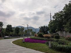 -白石龙音乐公园