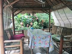 -Jungle Kitchen