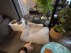 -咖法森林·咖啡  酒吧(天河店)