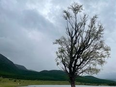 -玉湖村