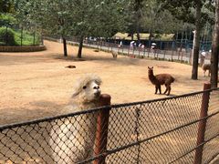 -大连森林动物园