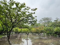 -宝鸡植物园